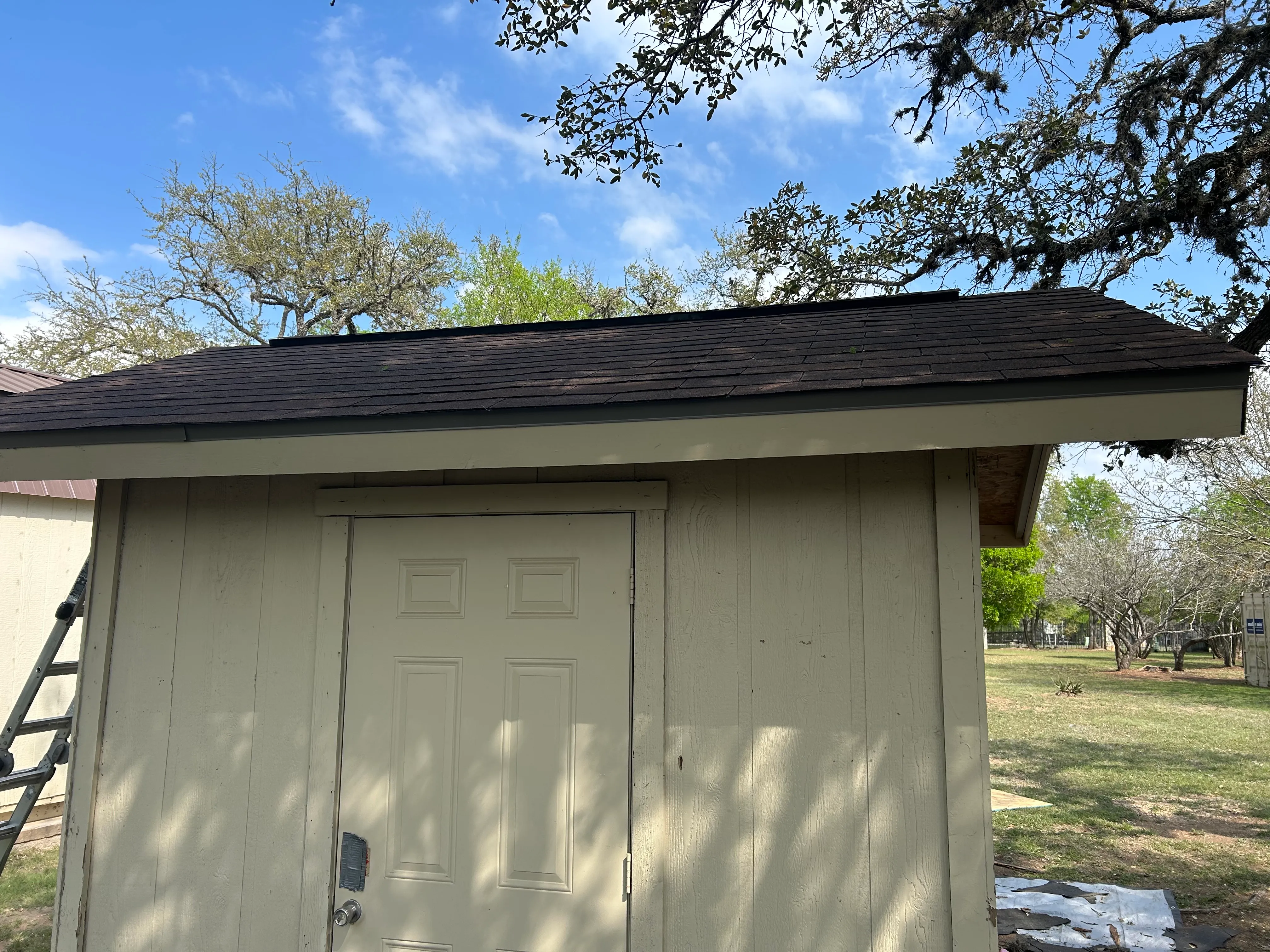 After: small backyard shed with a new dark asphalt shingle roof and painted siding, ladder against the side.